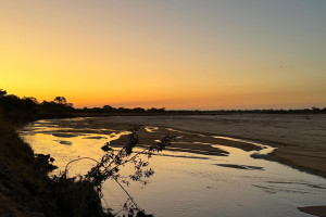 Claire Rediscovers the Amazing Natural Wonders of Africa