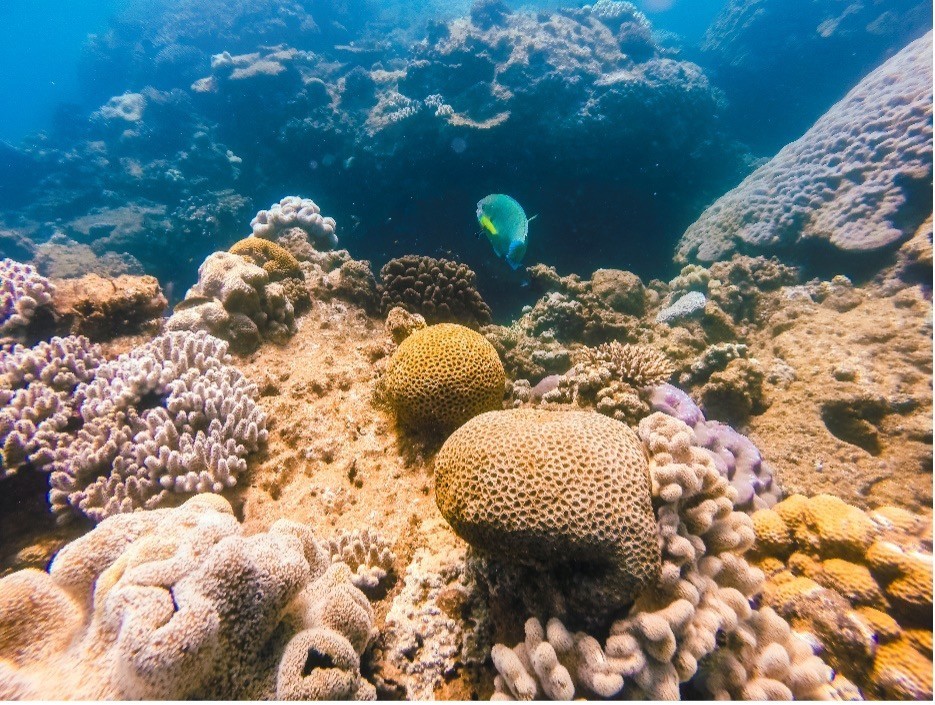 Ningaloo Reef
