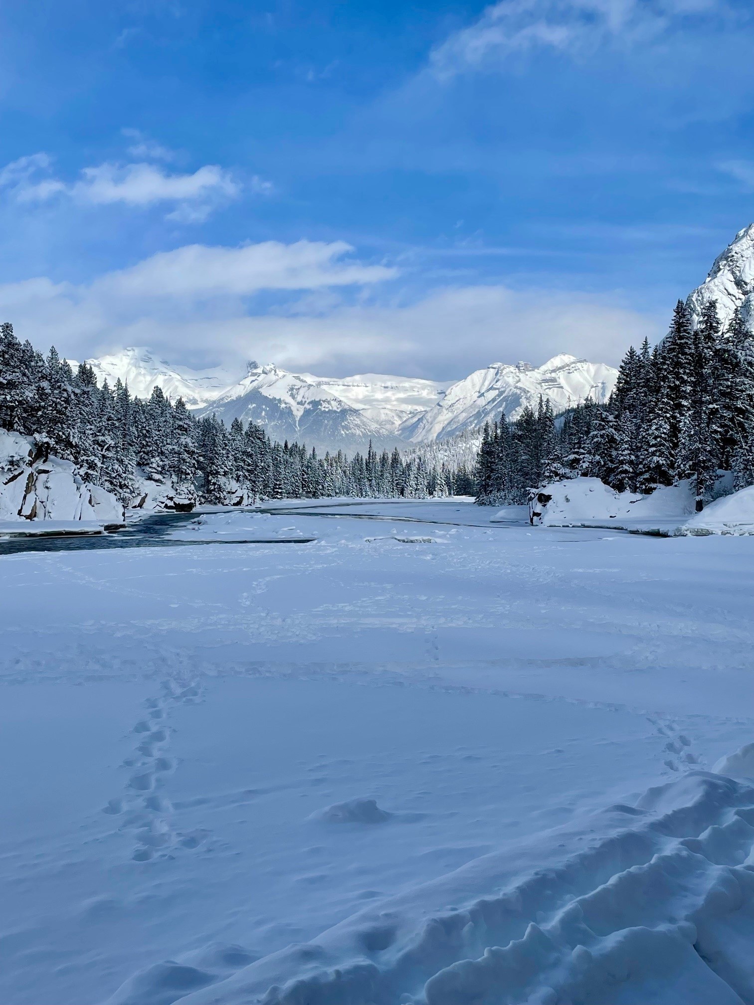 Canada snowy lanscape