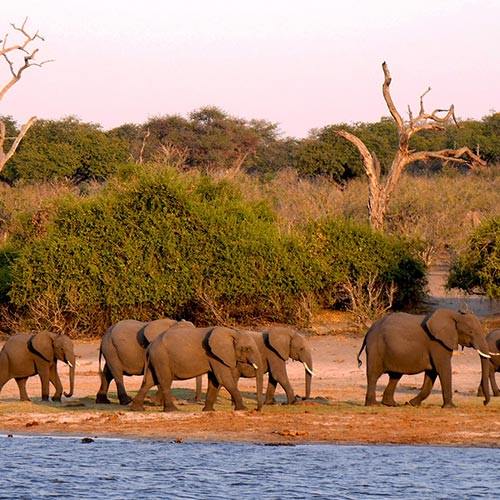 Botswana