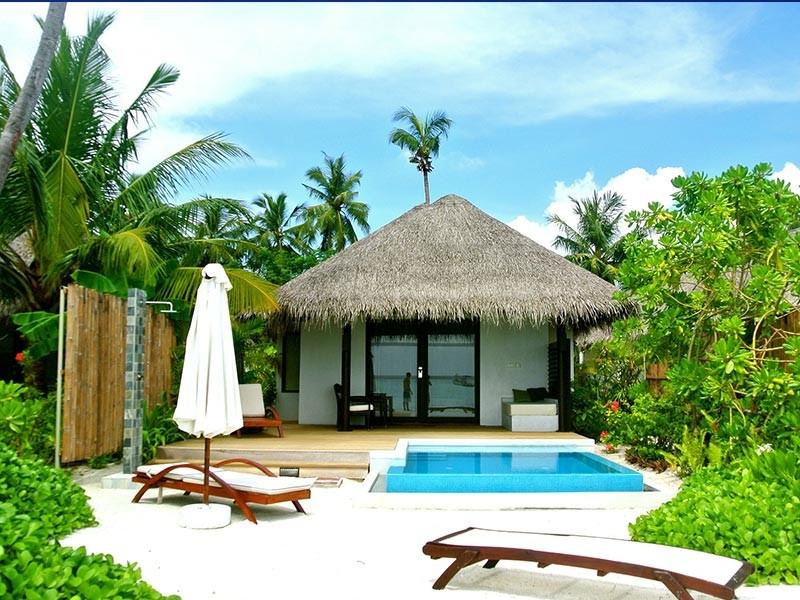 Pool and Hut in the Maldives